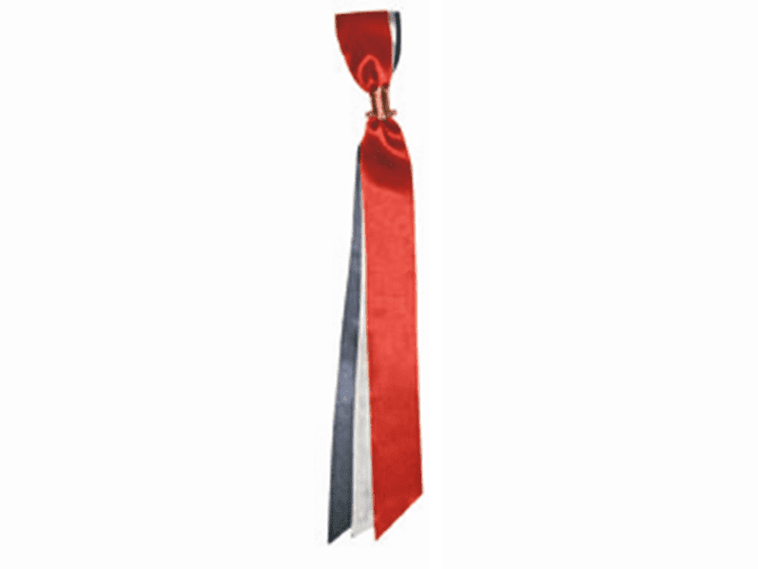 17 Mai Bow 22 cm Norwegian Foodstore