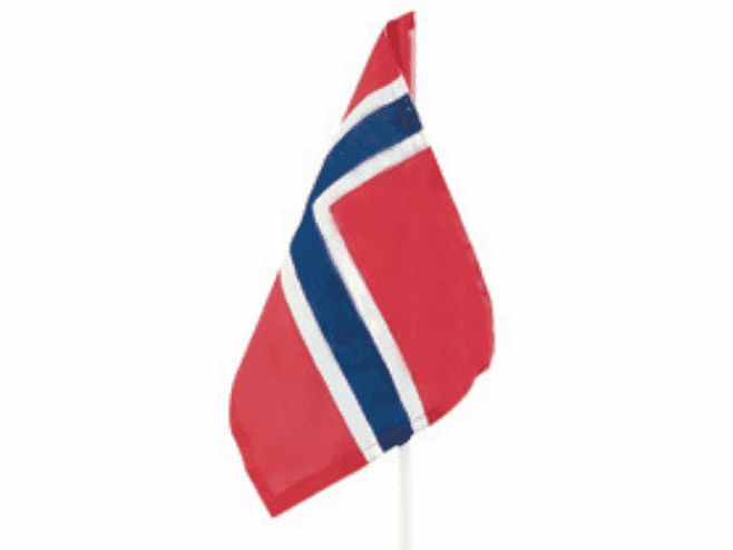 17 mai car flags 2 pack Norwegian Foodstore