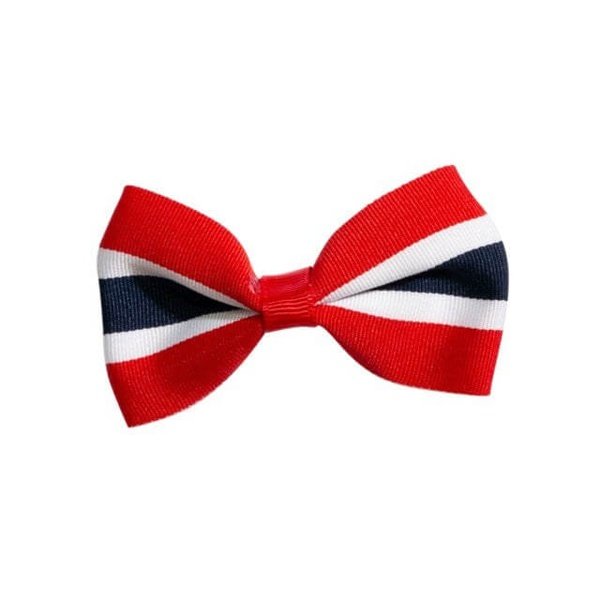 17 Mai Girls Hairpin/Hairclip Norwegian Foodstore