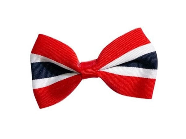 17 Mai Girls Hairpin/Hairclip Norwegian Foodstore