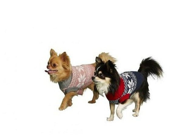 Limited edition Dog Sweater Blue for Small Dogs Norwegian Foodstore
