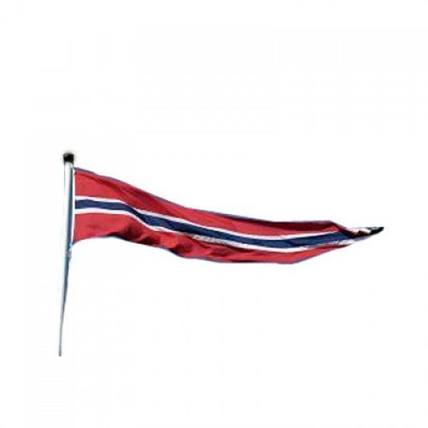 Norwegian Pennant (Vimpel) 3 sizes Norwegian Foodstore