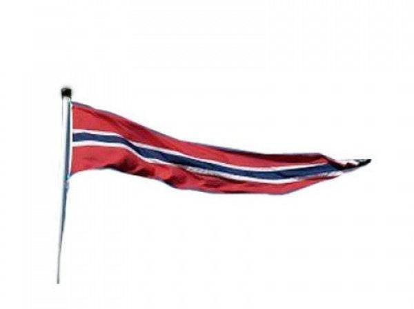 Norwegian Pennant (Vimpel) 3 sizes Norwegian Foodstore