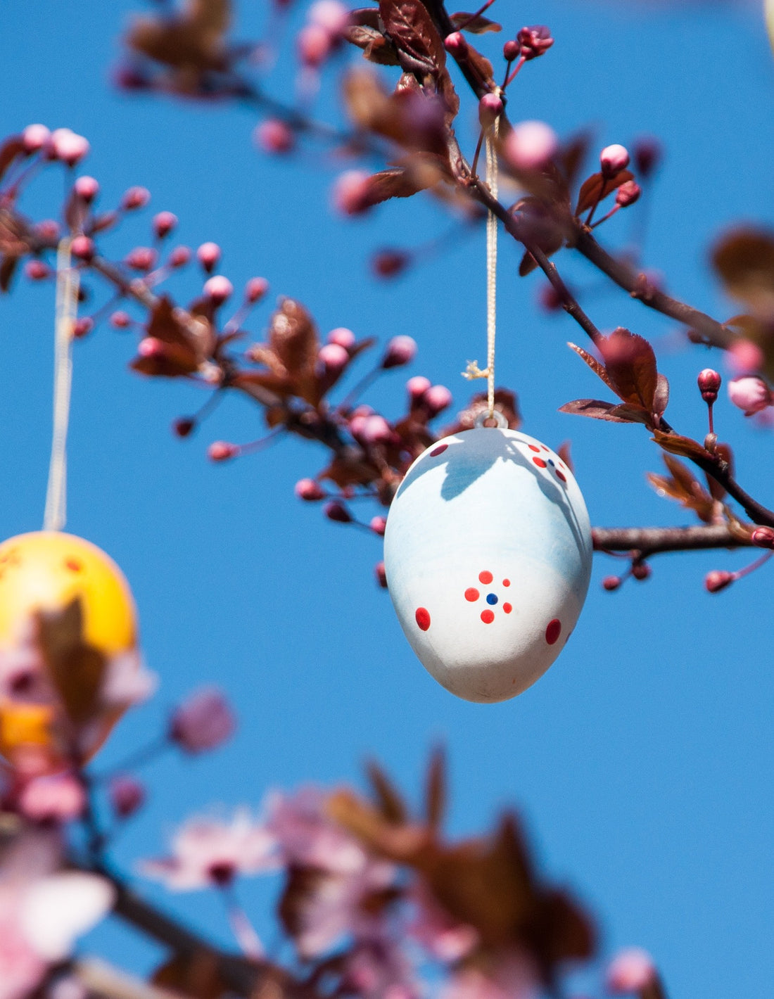 Norwegian Easter Norwegian Foodstore
