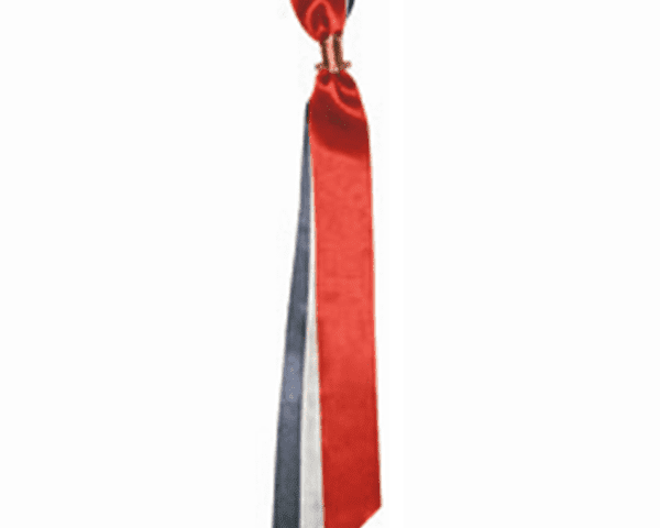 17 Mai Bow 22 cm Norwegian Foodstore