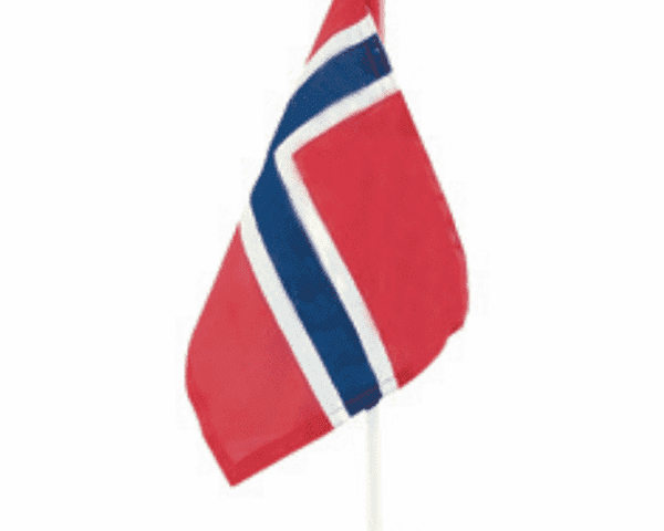 17 mai car flags 2 pack Norwegian Foodstore