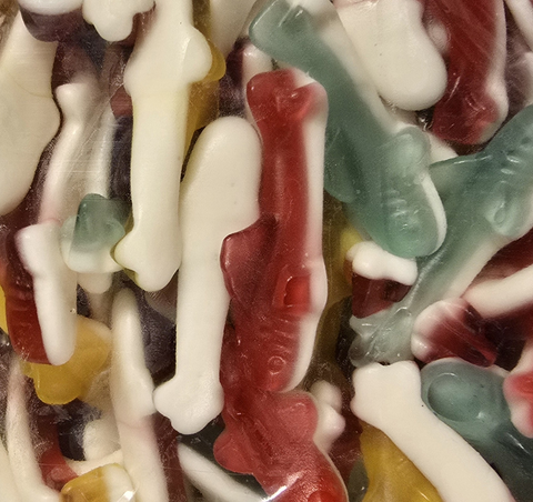 Sharks