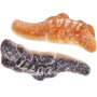 krokodiller-salmiakk-smagodt-godteri-sjokolade-penny-candy-pick-a-mix-custom-pick-n-mix-swedish-store-norwegian-candy