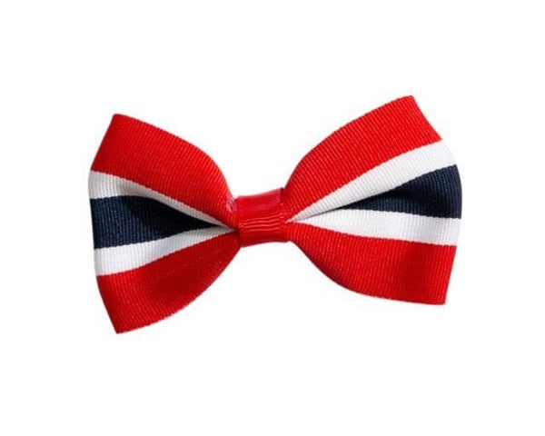 17 Mai Girls Hairpin/Hairclip Norwegian Foodstore